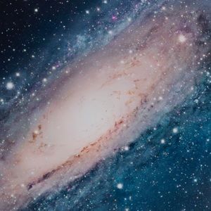 Meet your Posher, Josiah